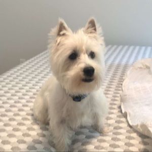 Meet your Posher, Drew